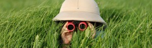 a boy in a grassy field looks with binoculars toward the viewer