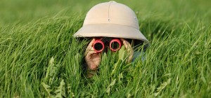 a boy in a grassy field looks with binoculars toward the viewer