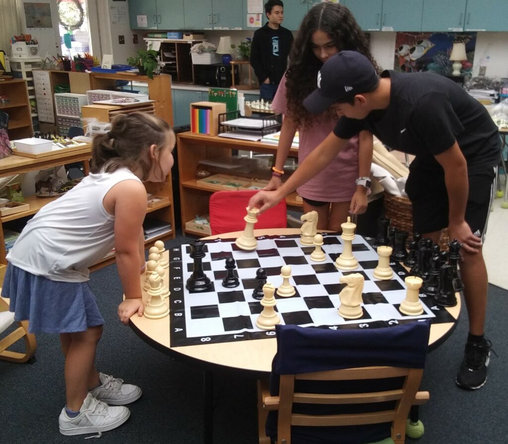 children playing chess at TNS chess camp