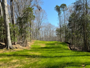 campus improvement for The New School pathway